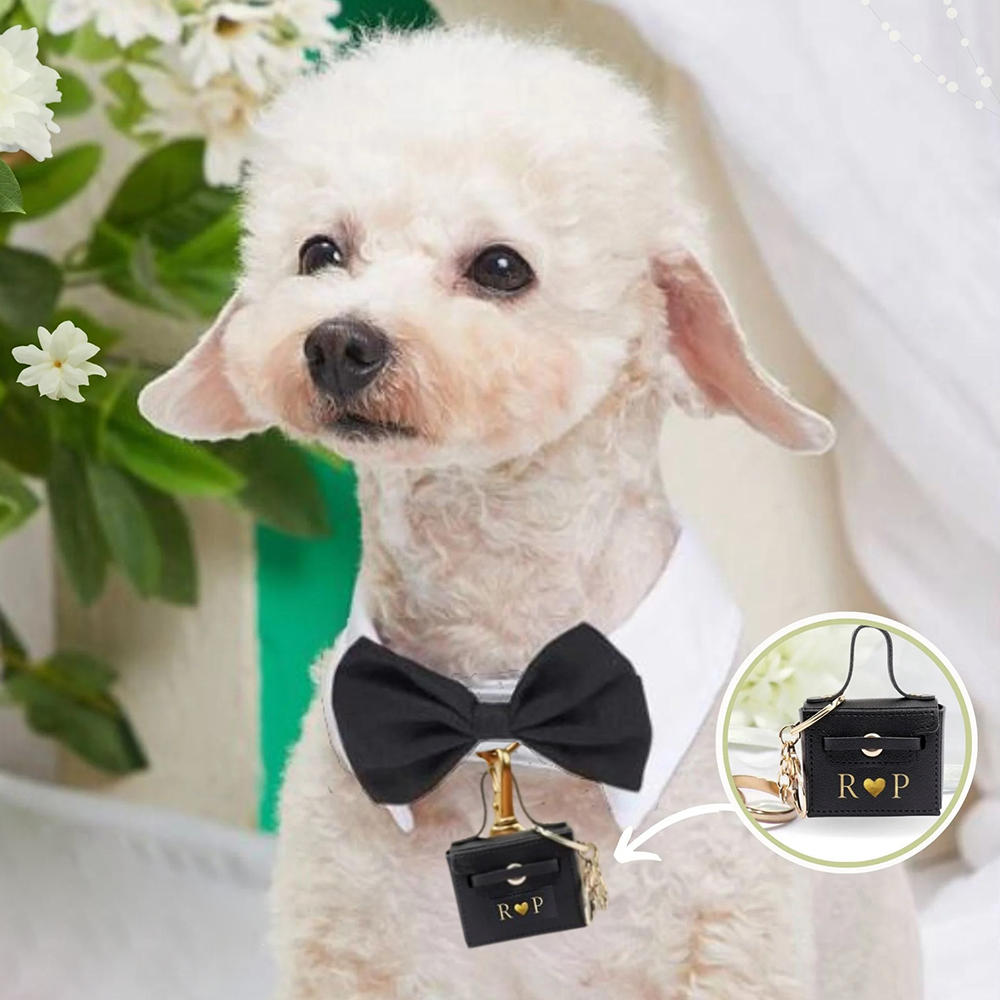 Gepersonaliseerde trouwringenh - Ring Bearer Pillow recensie en prijs